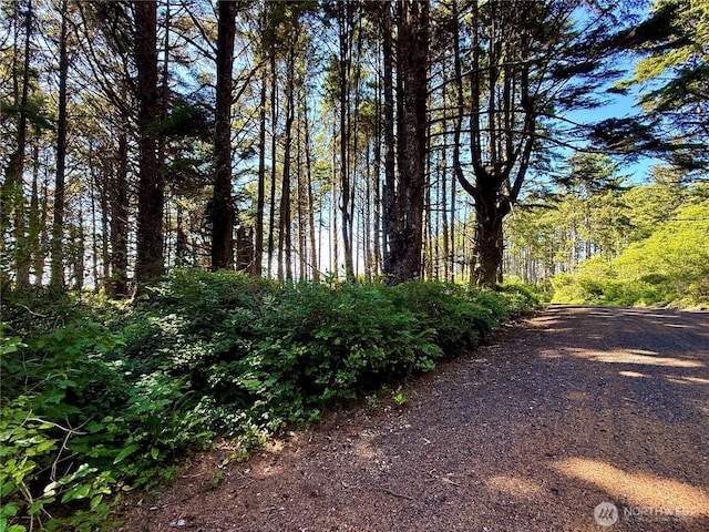 57 Koala Ln, Pacific Beach, WA 98571 - photo 4