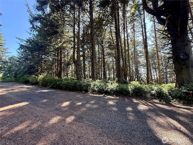 57 Koala Ln, Pacific Beach, WA 98571 - photo 5
