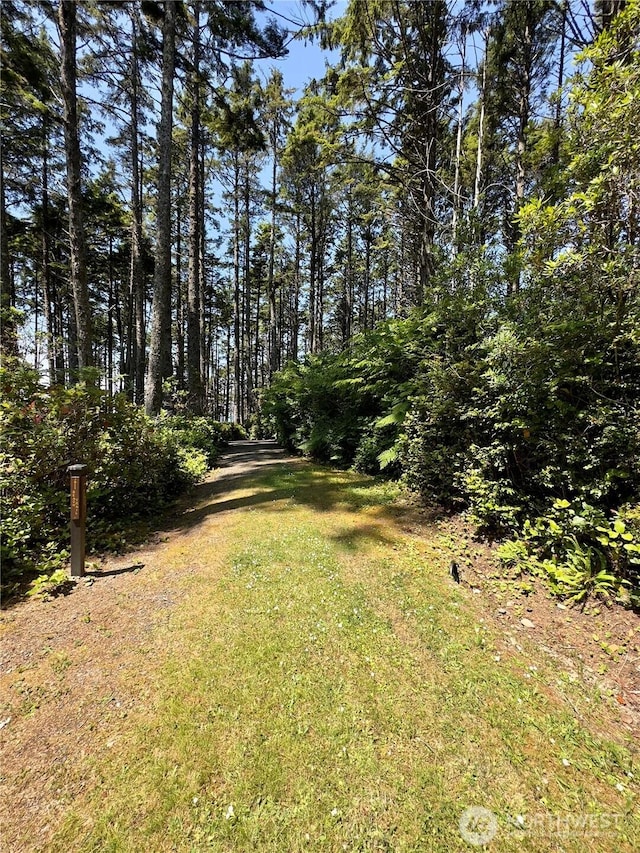 57 Koala Ln, Pacific Beach, WA 98571 - photo 16