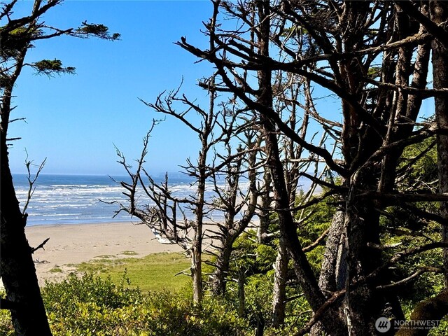 57 Koala Ln, Pacific Beach, WA 98571 - photo 8