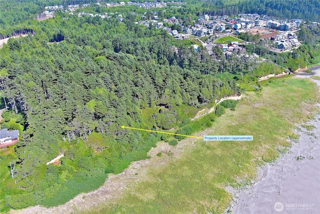 57 Koala Ln, Pacific Beach, WA 98571 - photo 21