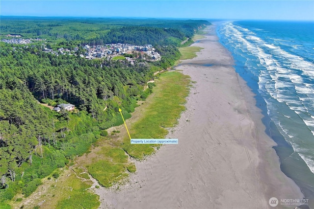 57 Koala Ln, Pacific Beach, WA 98571 - photo 22