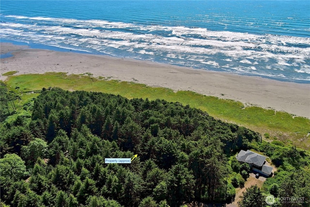 57 Koala Ln, Pacific Beach, WA 98571 - photo 24