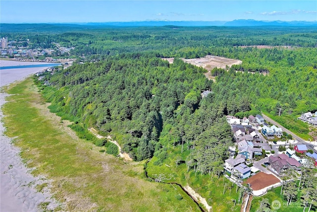 57 Koala Ln, Pacific Beach, WA 98571 - photo 27