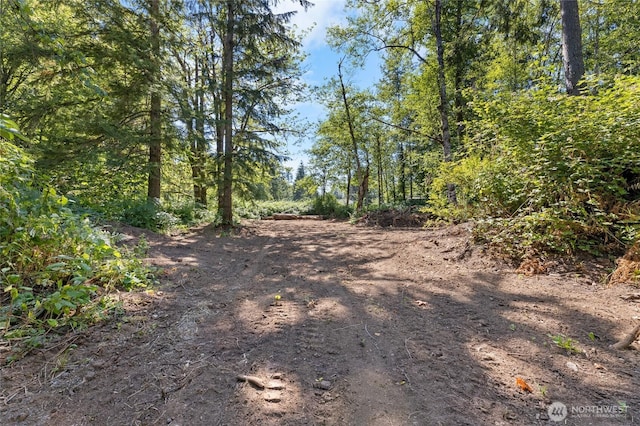 28618SE 434th St, Enumclaw, WA 98022 - photo 3