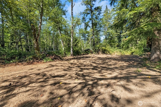 28618SE 434th St, Enumclaw, WA 98022 - photo 4