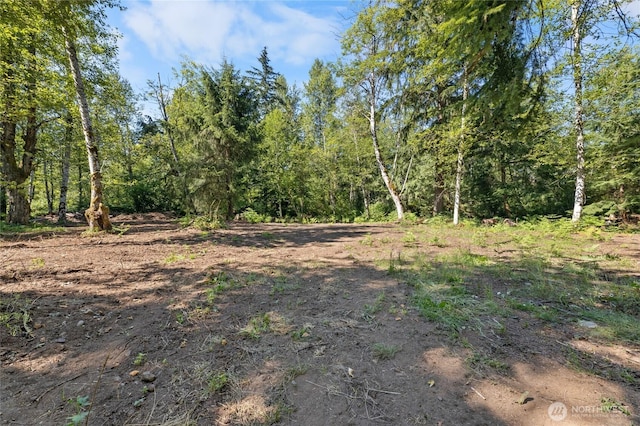 28618SE 434th St, Enumclaw, WA 98022 - photo 7