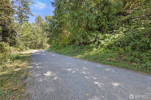 28618SE 434th St, Enumclaw, WA 98022 - photo 8