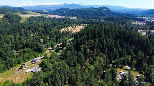 28618SE 434th St, Enumclaw, WA 98022 - photo 9