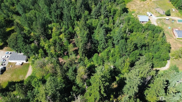 28618SE 434th St, Enumclaw, WA 98022 - photo 19
