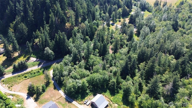 28618SE 434th St, Enumclaw, WA 98022 - photo 22