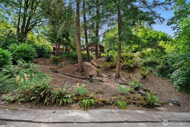 4101 SW Orchard St, Seattle, WA 98136 - photo 3