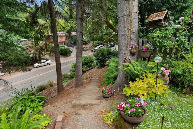 4101 SW Orchard St, Seattle, WA 98136 - photo 22