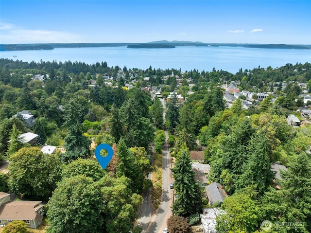 4101 SW Orchard St, Seattle, WA 98136 - photo 36