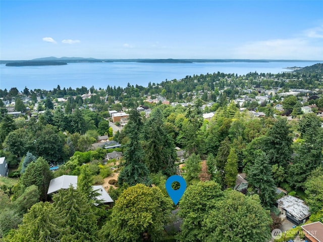 4101 SW Orchard St, Seattle, WA 98136 - photo 38