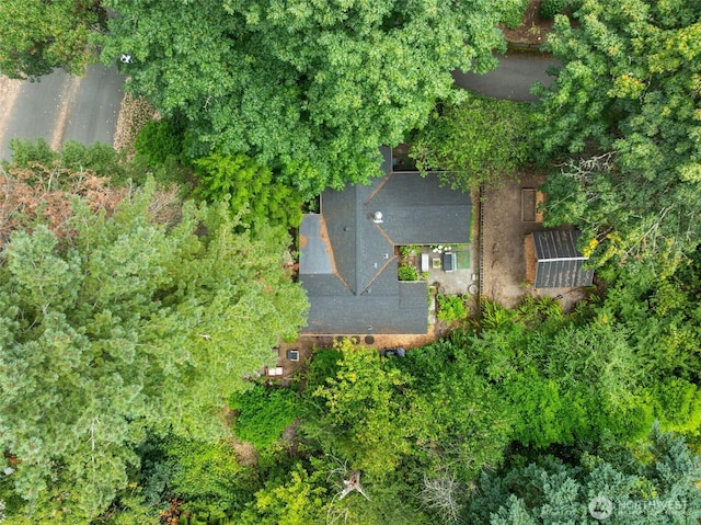 4101 SW Orchard St, Seattle, WA 98136 - photo 35