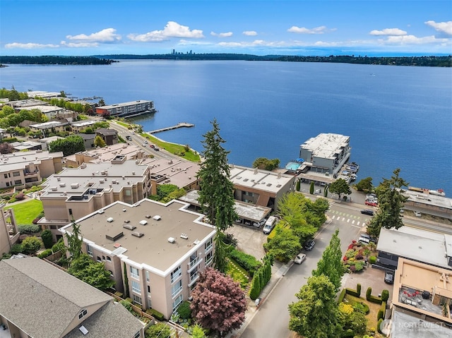 125 5th Ave S Unit 101, Kirkland, WA 98033 - photo 31