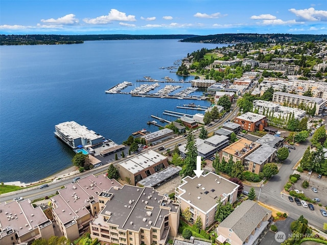 125 5th Ave S Unit 101, Kirkland, WA 98033 - photo 32