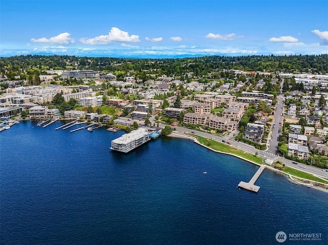 125 5th Ave S Unit 101, Kirkland, WA 98033 - photo 34