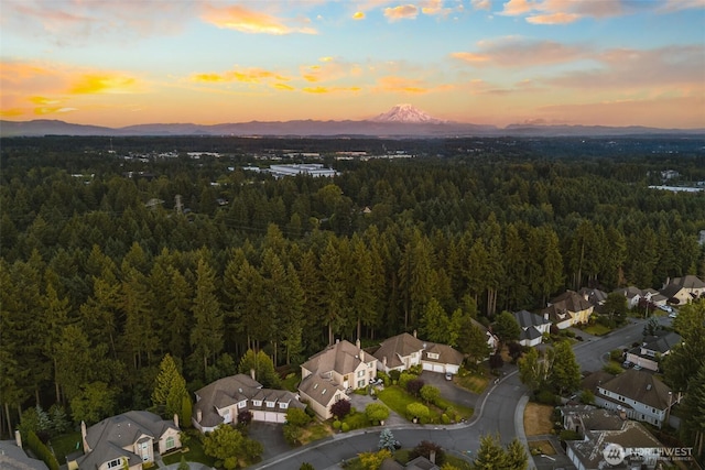 33504 4th Ct SW, Federal Way, WA 98023 - photo 39