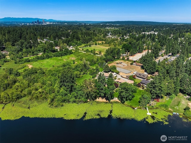 15805 SE 16th St, Bellevue, WA 98008 - photo 3