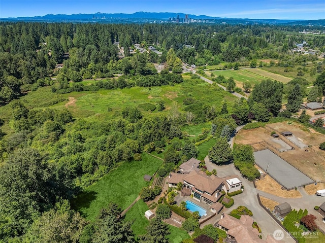 15805 SE 16th St, Bellevue, WA 98008 - photo 5