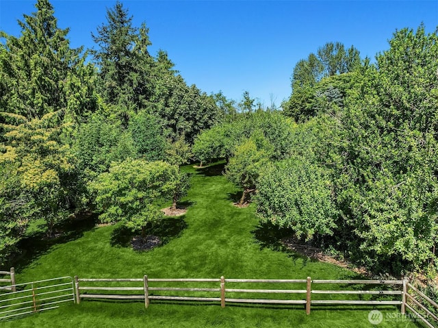 15805 SE 16th St, Bellevue, WA 98008 - photo 16
