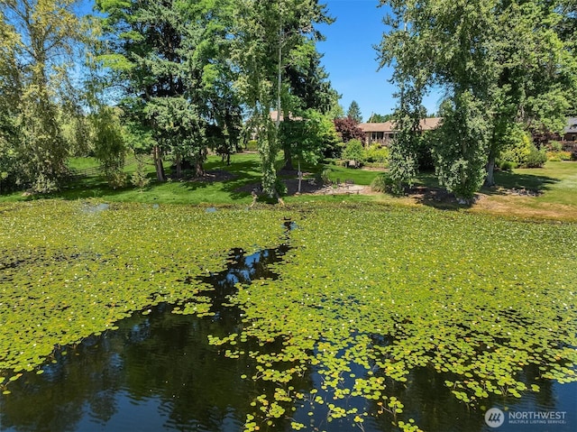 15805 SE 16th St, Bellevue, WA 98008 - photo 10