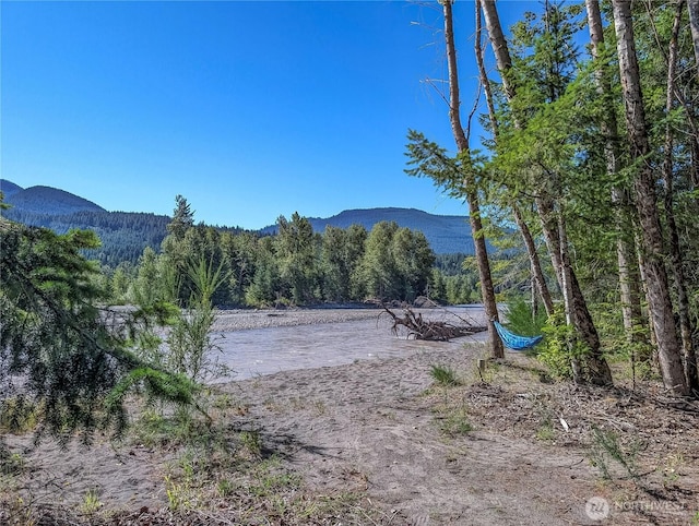 102 Maple Pl, Packwood, WA 98361 - photo 2