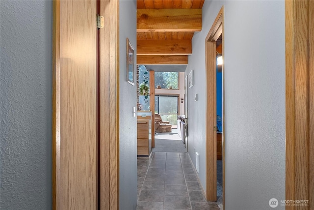 102 Maple Pl, Packwood, WA 98361 - photo 5