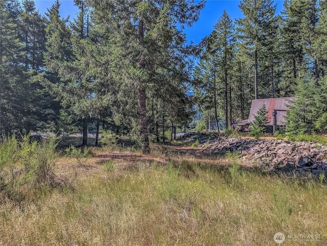 102 Maple Pl, Packwood, WA 98361 - photo 26