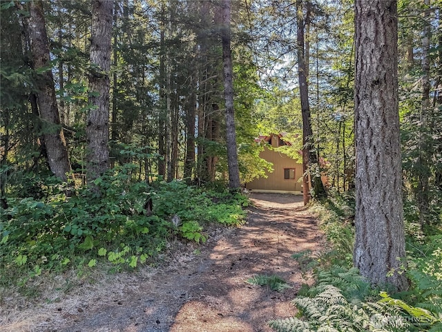 102 Maple Pl, Packwood, WA 98361 - photo 32