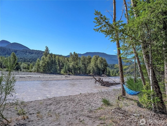 102 Maple Pl, Packwood, WA 98361 - photo 37