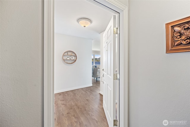 5021 Ripley Ln N Unit 204, Renton, WA 98056 - photo 4