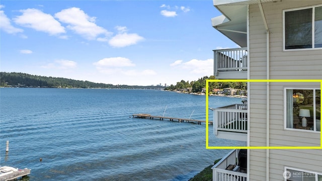 5021 Ripley Ln N Unit 204, Renton, WA 98056 - photo 3