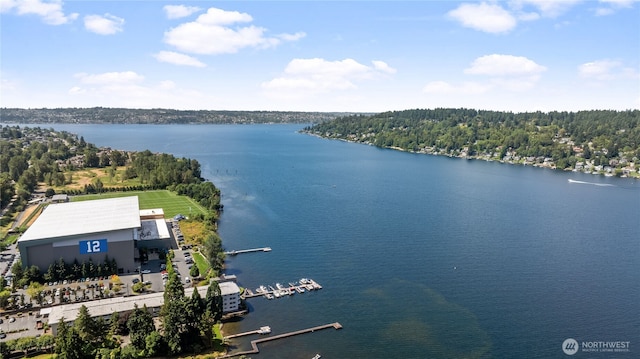 5021 Ripley Ln N Unit 204, Renton, WA 98056 - photo 38