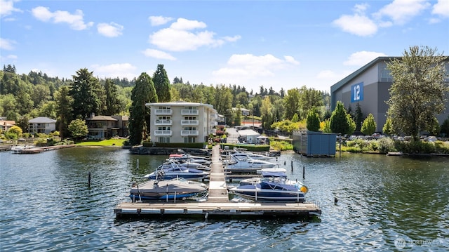 5021 Ripley Ln N Unit 204, Renton, WA 98056 - photo 2