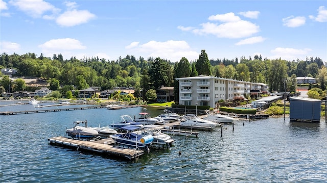 5021 Ripley Ln N Unit 204, Renton, WA 98056 - photo 37