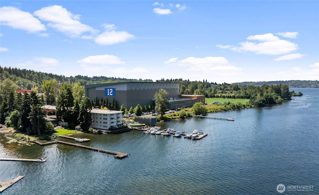 5021 Ripley Ln N Unit 204, Renton, WA 98056 - photo 1