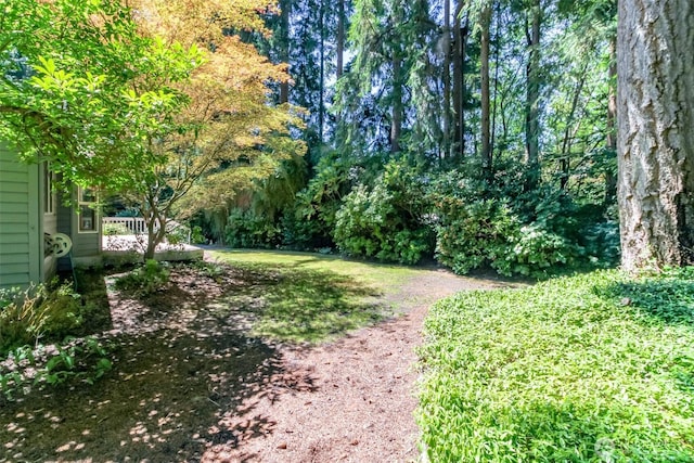 4915 Eagle Creek Ln, Gig Harbor, WA 98335 - photo 36