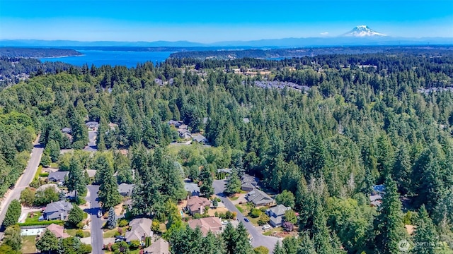 4915 Eagle Creek Ln, Gig Harbor, WA 98335 - photo 4