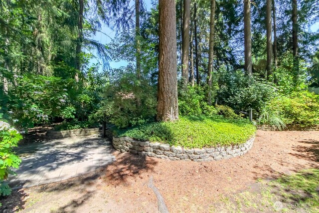 4915 Eagle Creek Ln, Gig Harbor, WA 98335 - photo 38