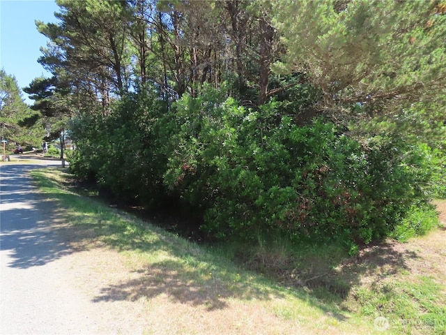 0 Surf St, Westport, WA 98595 - photo 4