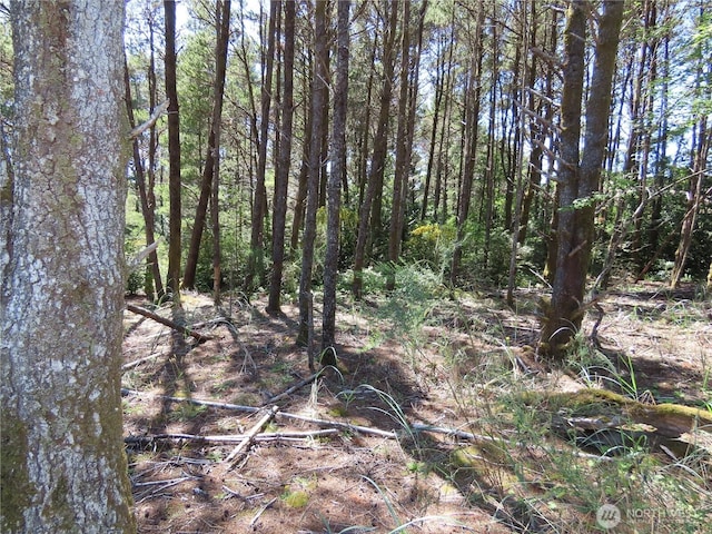 0 Surf St, Westport, WA 98595 - photo 5