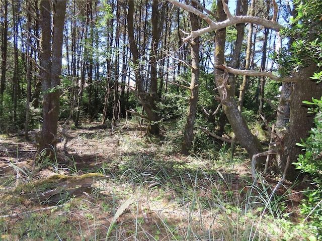 0 Surf St, Westport, WA 98595 - photo 6