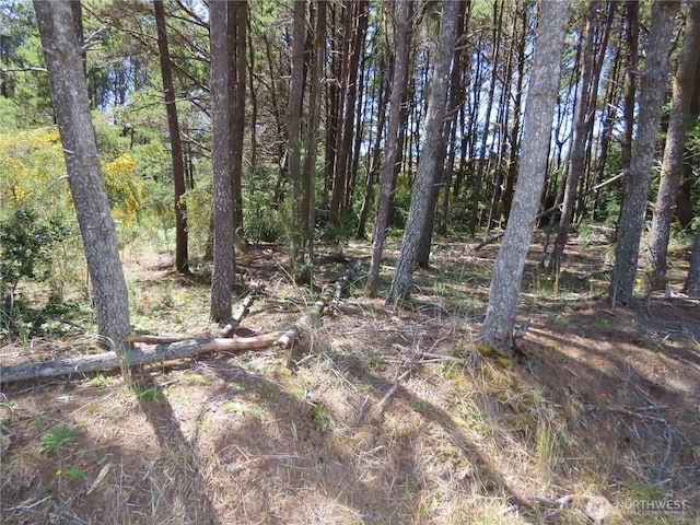 0 Surf St, Westport, WA 98595 - photo 7