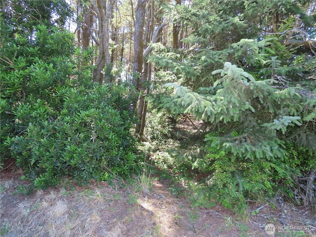 0 Surf St, Westport, WA 98595 - photo 9