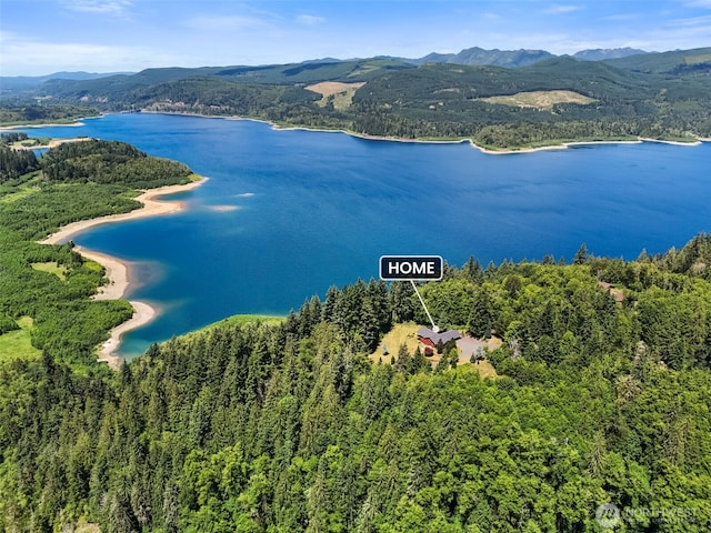 140 Sunset Rdg, Mossyrock, WA 98564 - photo 35