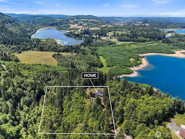 140 Sunset Rdg, Mossyrock, WA 98564 - photo 36