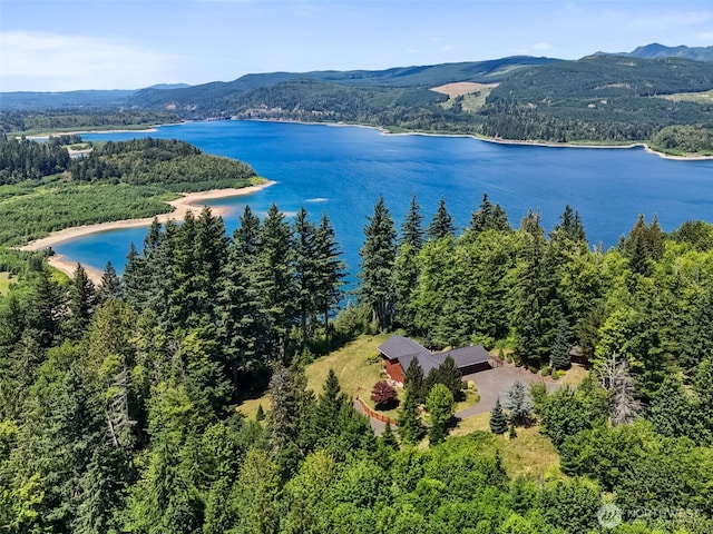 140 Sunset Rdg, Mossyrock, WA 98564 - photo 38